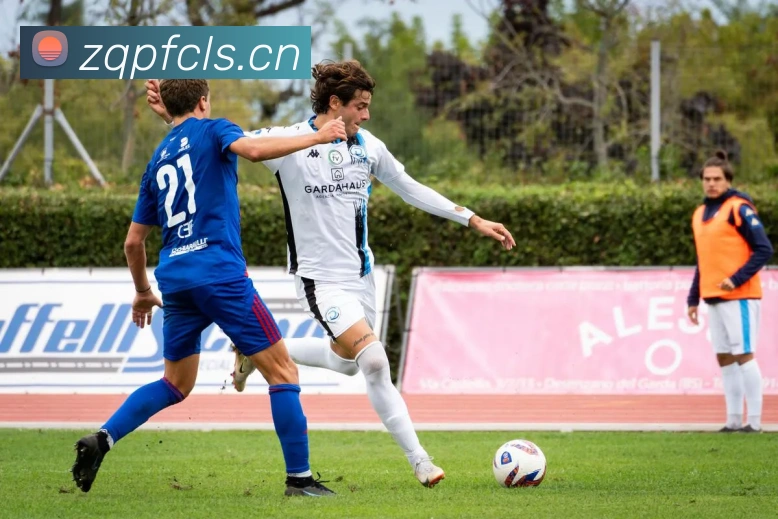 华体育会登录网官网平台生态图